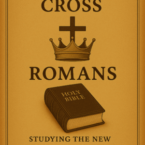New Testament Studies romans ebook