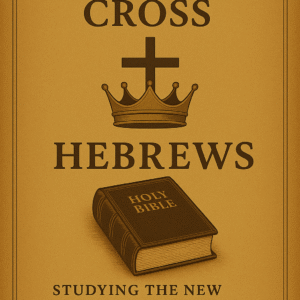 New Testament Studies hebrews cover
