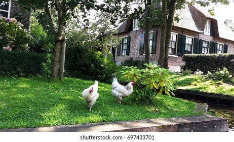 Chicken road - Een Uitgebreide Gids over Chicken Road Gokspel in Nederland